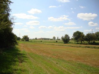 Property photo 3 - 60 +/- Acres Offered in 3 Tracts - Real Estate Auction